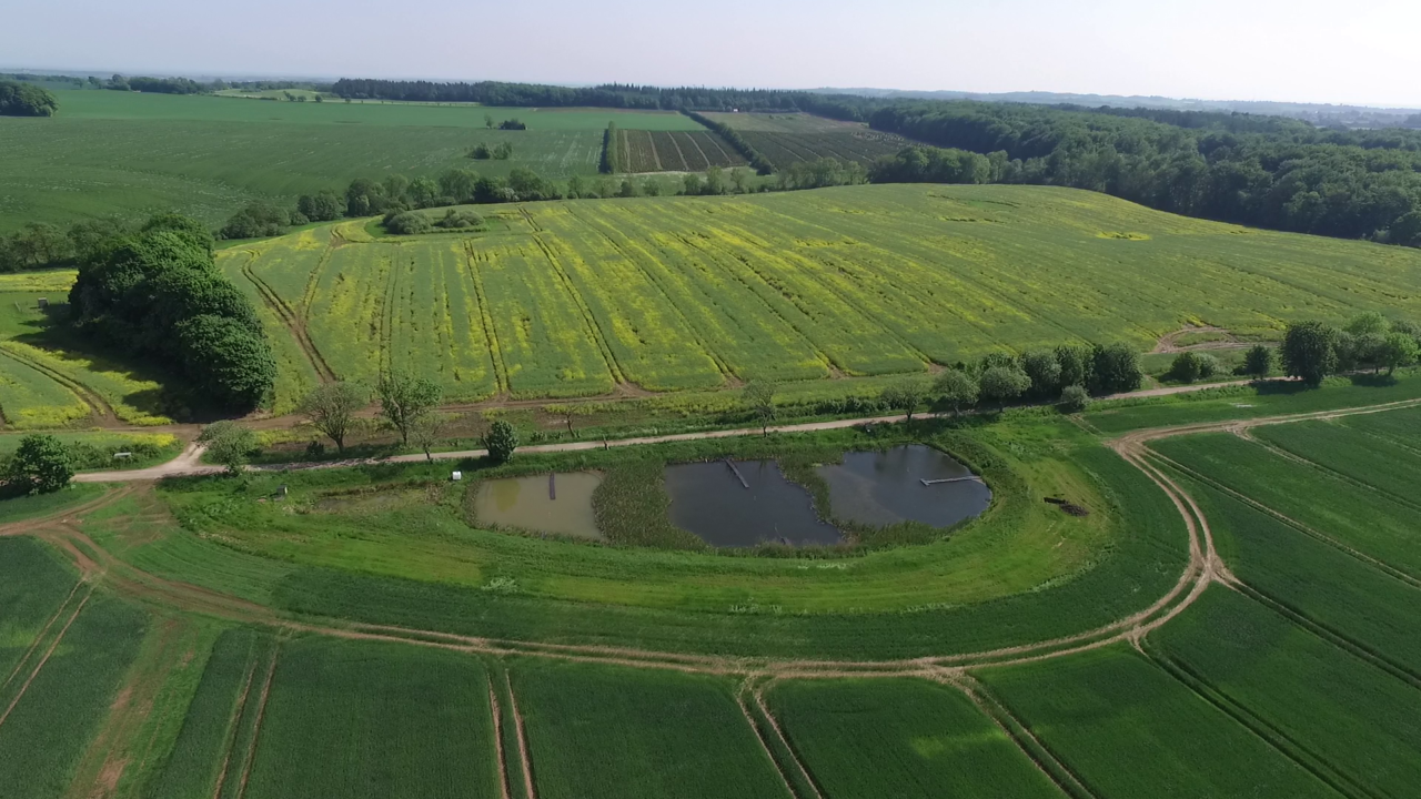 Minivådområde med åbent bassin