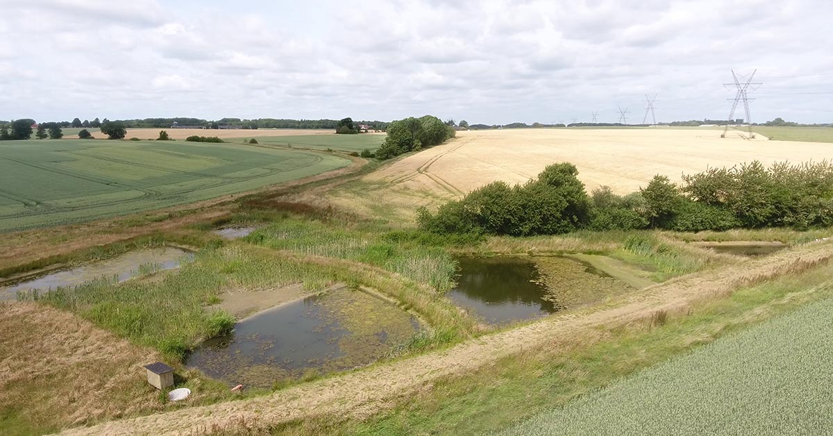 Minivådområder reducerer kvælstofudvaskningen