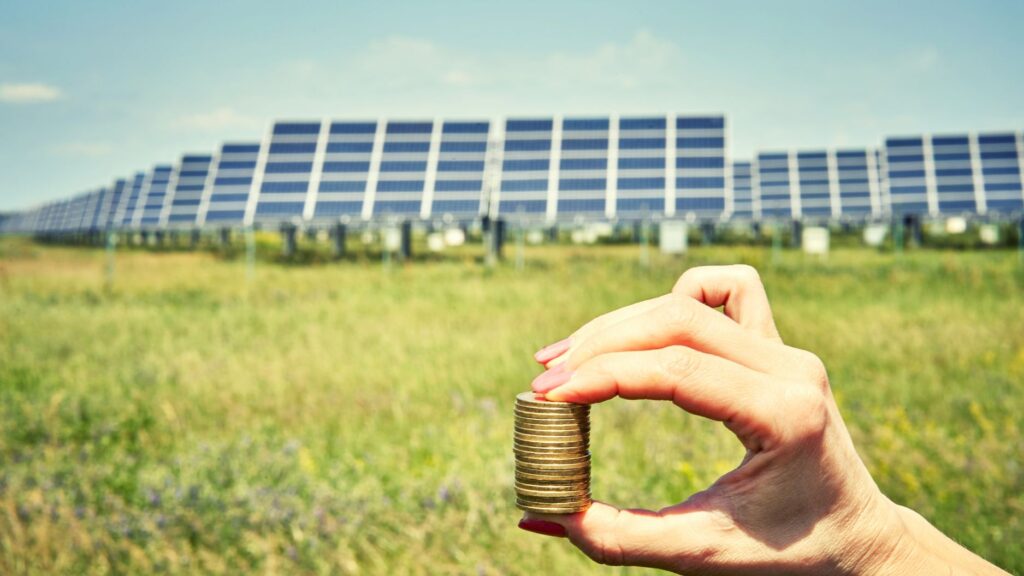 Kan det betale sig at få solceller som afgrøde? VKST kan hjælpe dig
