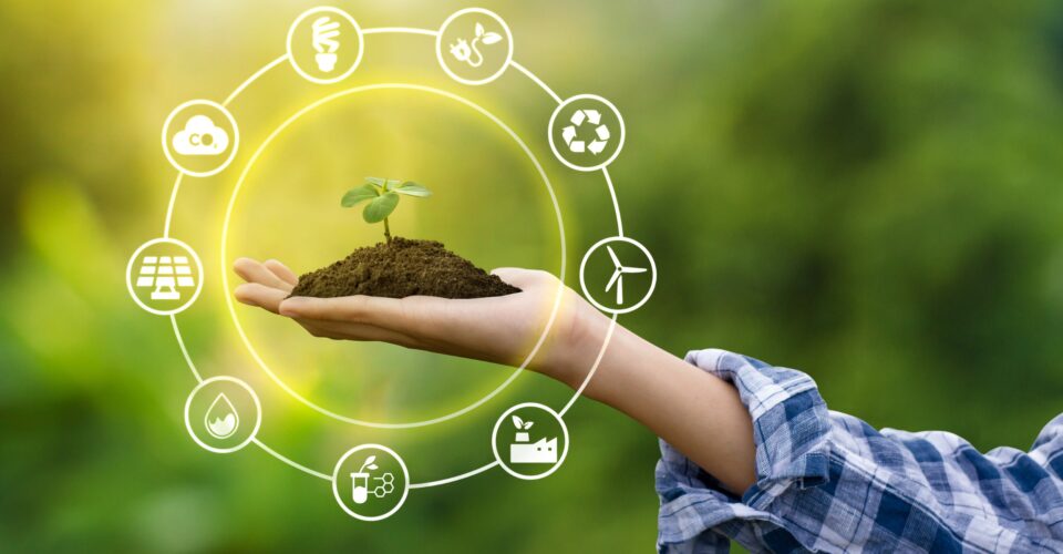 VKST hjælper dig med bæredygtighed med en ESG-rapport